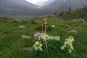 85 Scendiamo in direttissima evitando il lungo traverso ai Laghi delle Valli